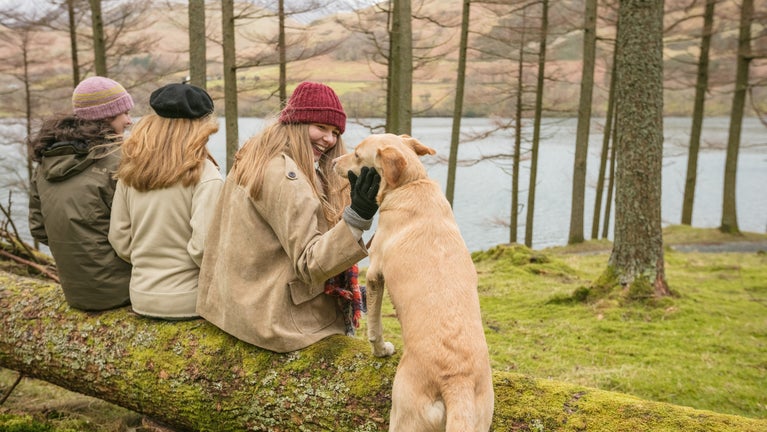 Group of women resting on a log with their dog, looking towards the lake through the trees in autumn